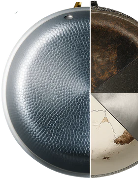 The Only Pan You'll Ever Need