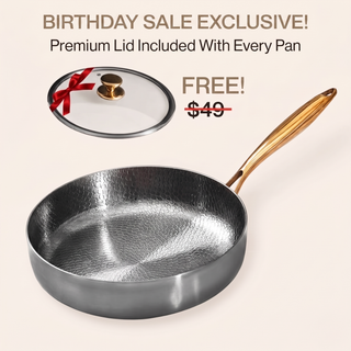 Pure Titanium Deep Pan Pro